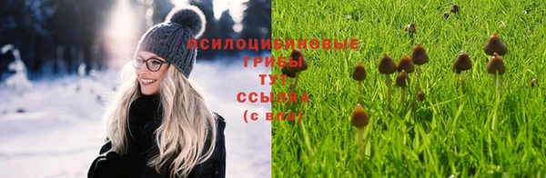 ГАЛЛЮЦИНОГЕННЫЕ ГРИБЫ Алексеевка