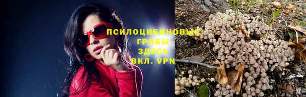 ГАЛЛЮЦИНОГЕННЫЕ ГРИБЫ Алексеевка